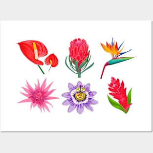 Exotic Jungle Flowers Posters and Art